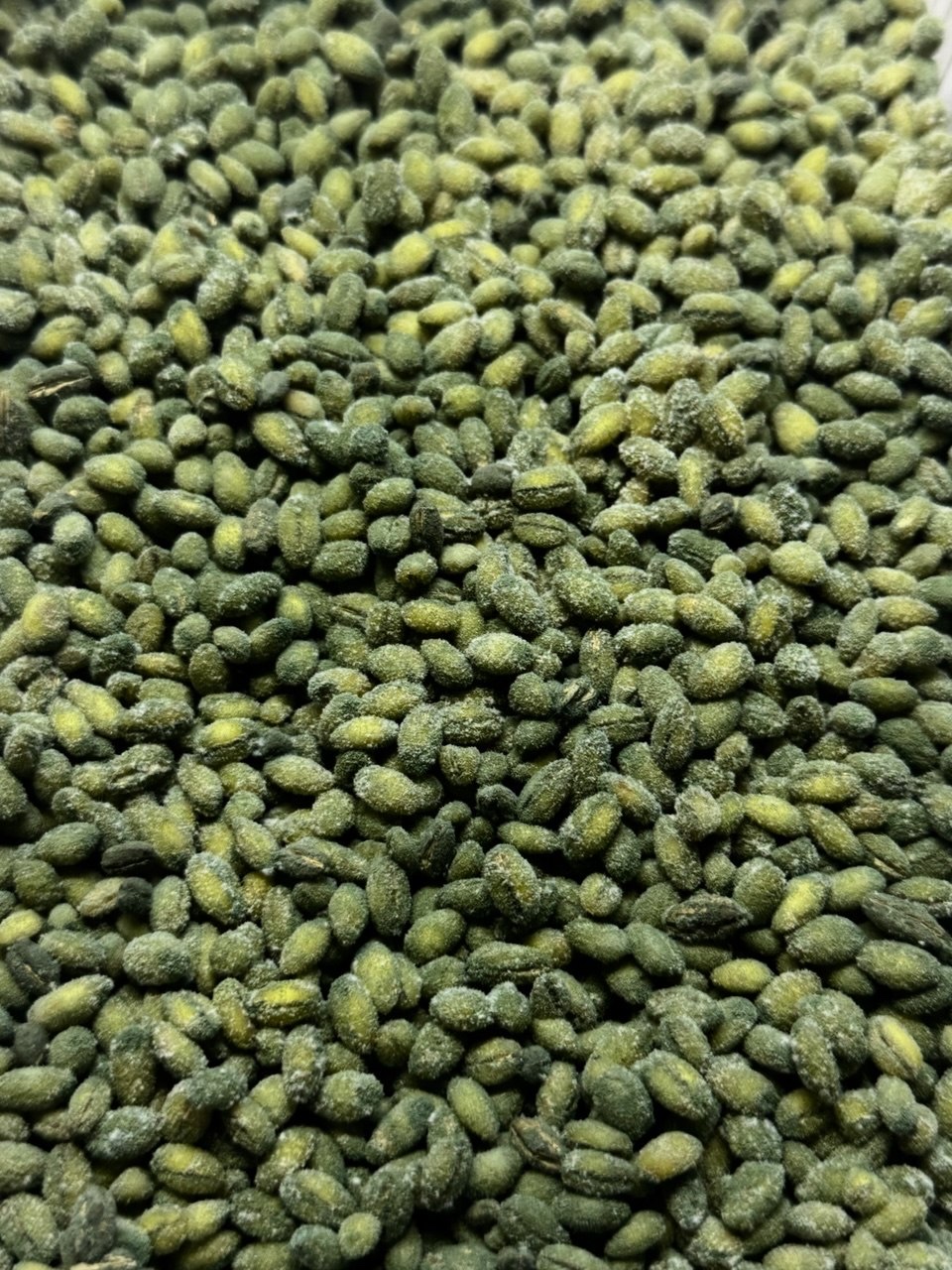 Trichoderma Viride